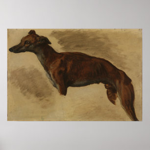 Affiche Delacroix - Levrier 1859