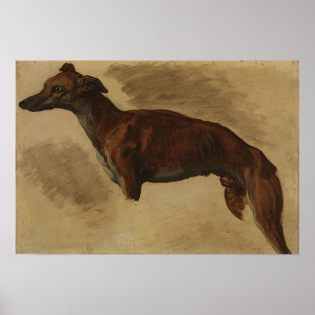 Affiche Delacroix - Levrier 1859 (Devant)