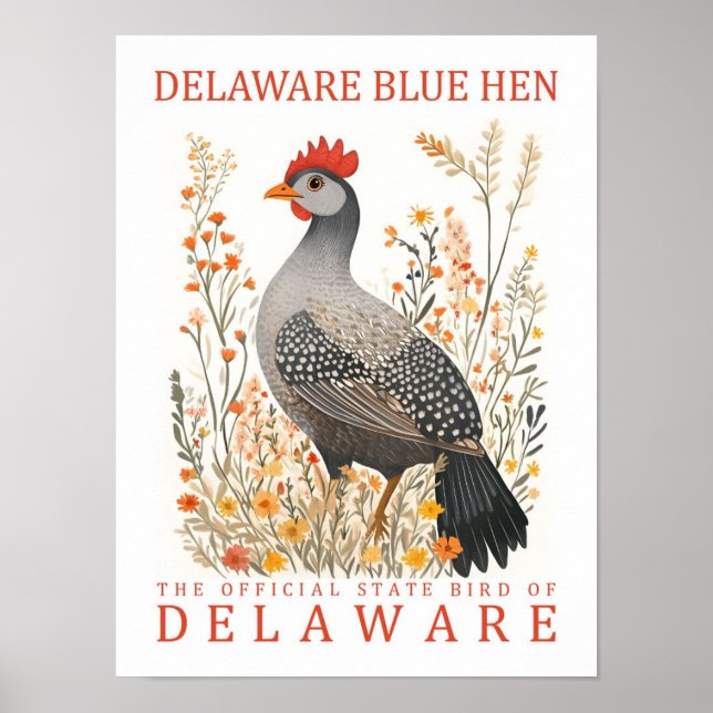 Affiche Delaware Blue Hen Bird of Delaware USA Travel (Devant)
