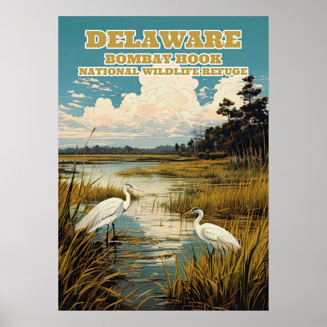 Affiche Delaware Bombay Hook V03 (Devant)