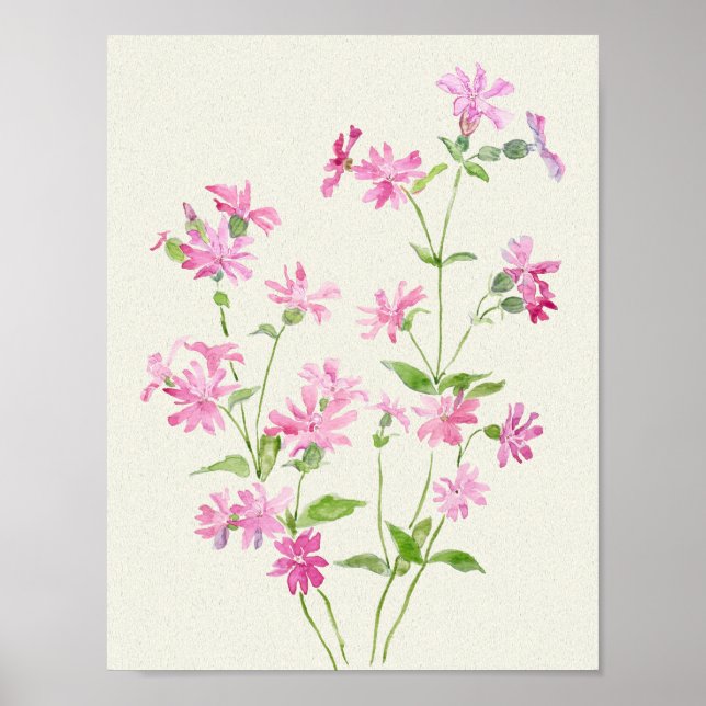 Affiche délicate couleur rose-rose rouge des fleurs de cam (Devant)