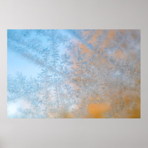Affiche Delicate frost pattern