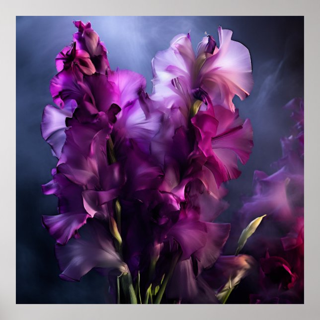 Affiche Delicate Gladiolas (Devant)