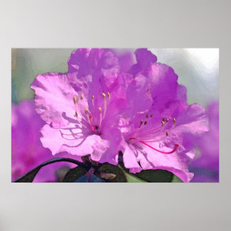 Affiche Délicieux Lavande