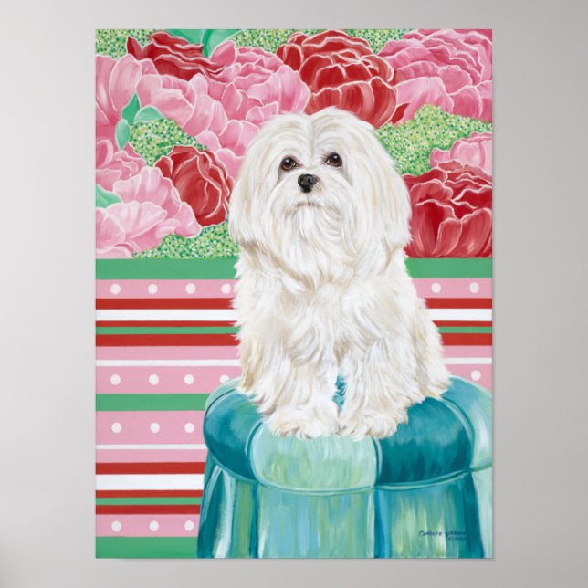 Affiche Della Rose Maltese (Devant)