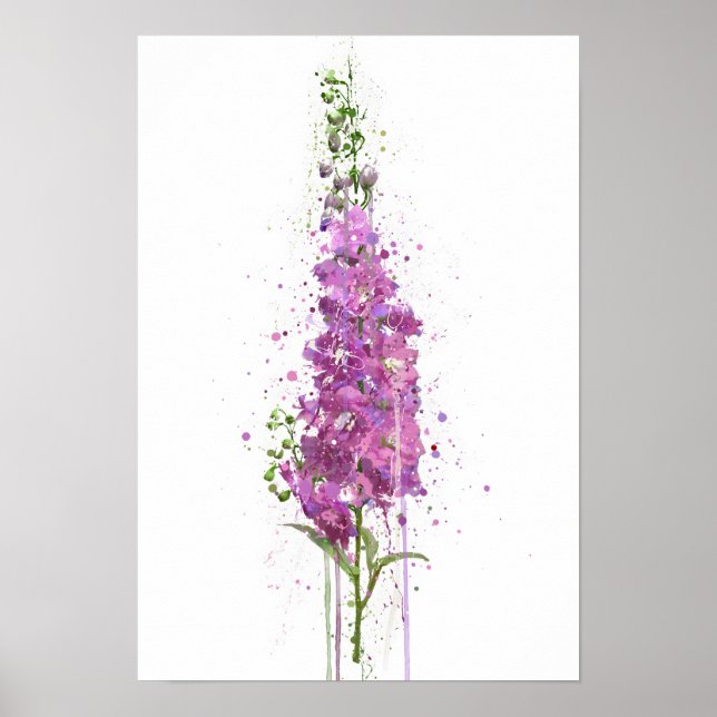 Affiche Delphiniums (Devant)