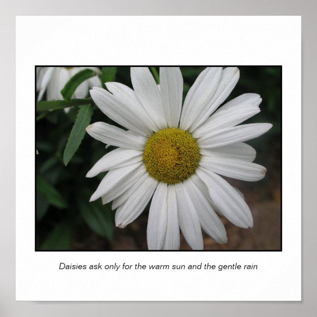 Affiche Demandes simples (Devant)