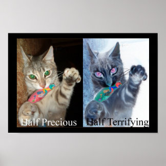 Affiche Demi et demi