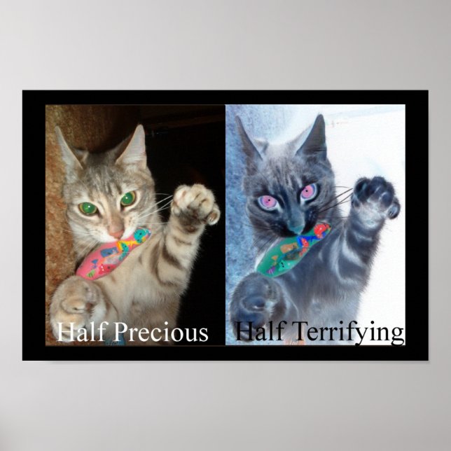 Affiche Demi et demi (Devant)