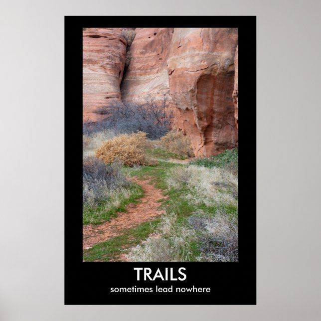 AFFICHE DÉMOtivationnelle DE TRAILS (Devant)