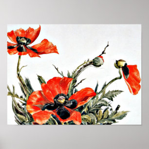 Affiche Demuth - Poppies rouges, peinture populaire