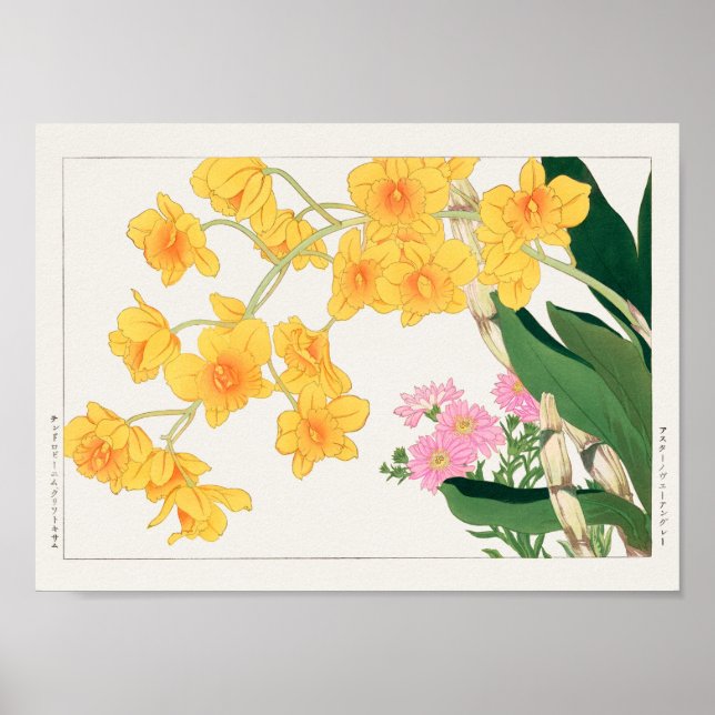 Affiche Dendrobium, maître de Chine par Tanigami Konan (Devant)