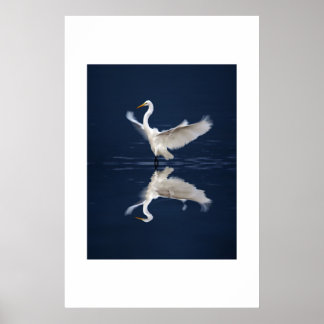 Affiche Dentelle sur bleu