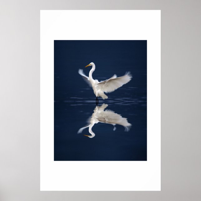 Affiche Dentelle sur bleu (Devant)