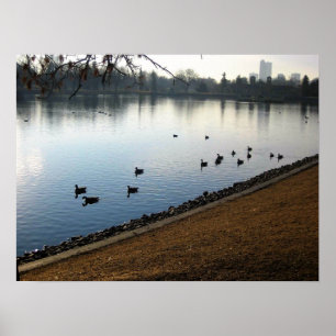 Affiche Denver City Park