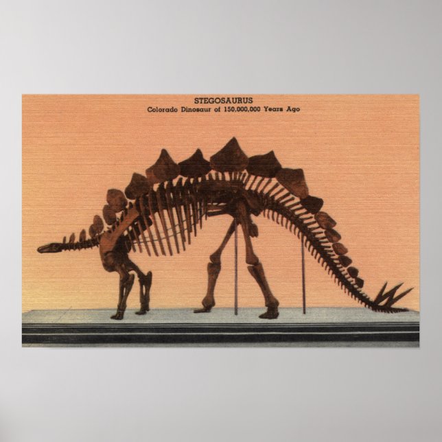 Affiche Denver, Colorado - Musée d'histoire naturelle (Devant)