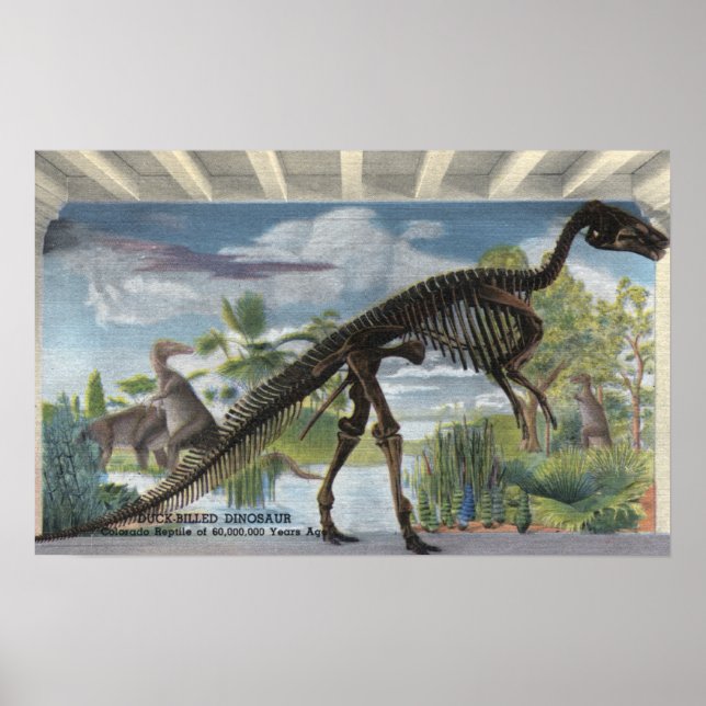 Affiche Denver, Colorado - Museum of Natural History 2 (Devant)
