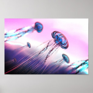 Affiche Déplacement le long