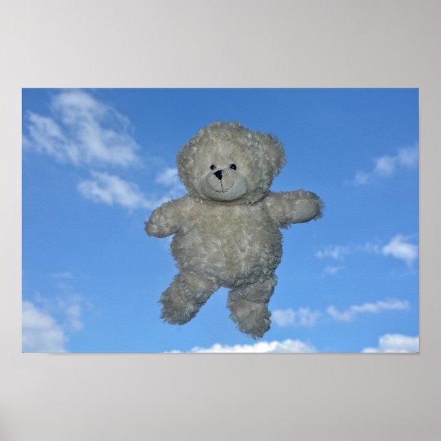 Affiche Der fliegende Teddybär (Devant)
