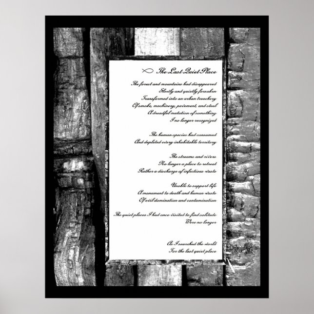 Affiche Dernier endroit calme (Devant)