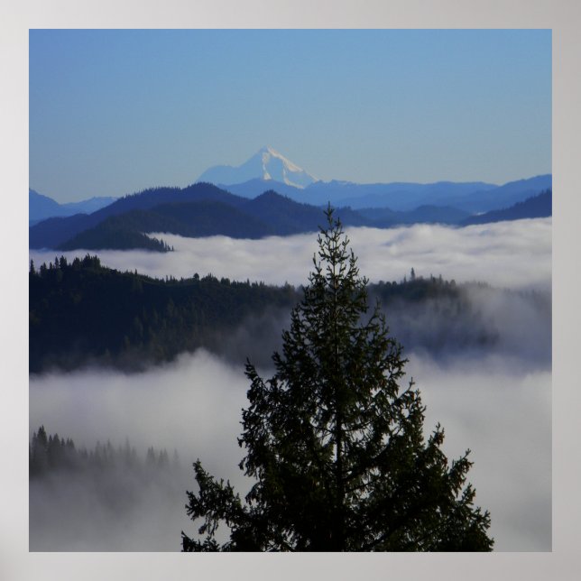 Affiche Derrière l'arbre.... (Devant)