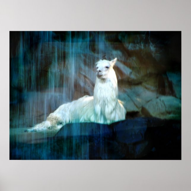 Affiche Derrière les chutes (Devant)