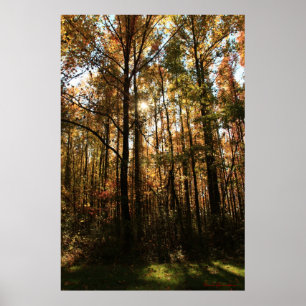 Affiche des arbres d'automne