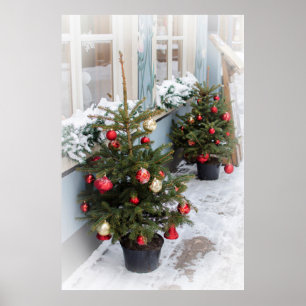 Affiche Des arbres de Noël décorés dans la rue.