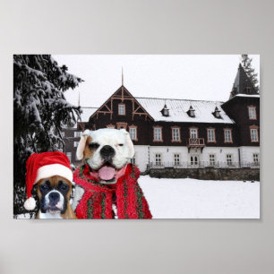Affiche des boîtes de Noël