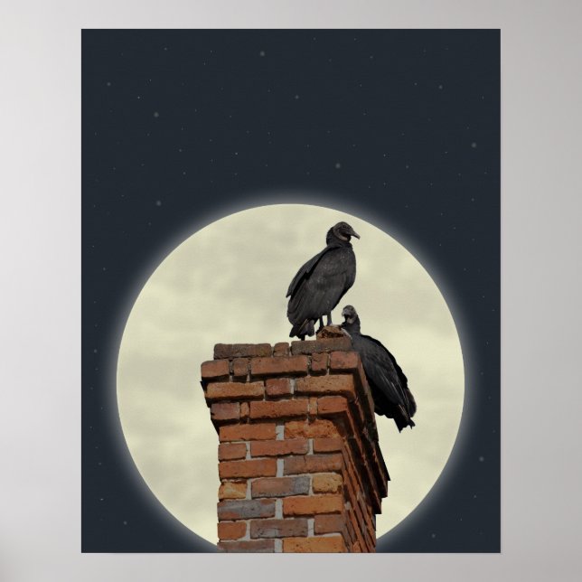 Affiche Des buzzards sur le Chemin contre la Pleine lune (Devant)