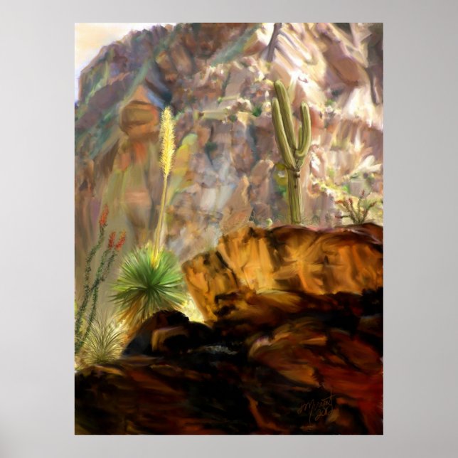 Affiche Des Canyons Ombres. (Devant)