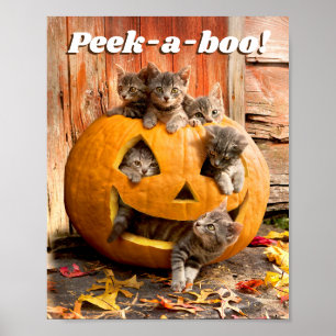 Affiche Des chatons à Jack-o-Lantern