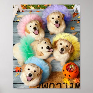 Affiche Des chiots en or ou un traitement