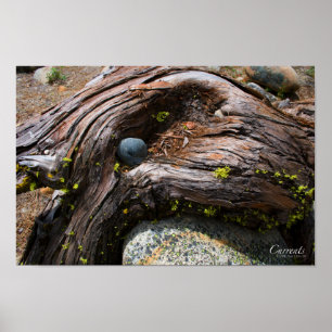 Affiche des courants