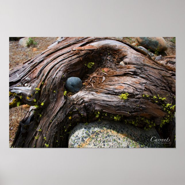 Affiche des courants (Devant)