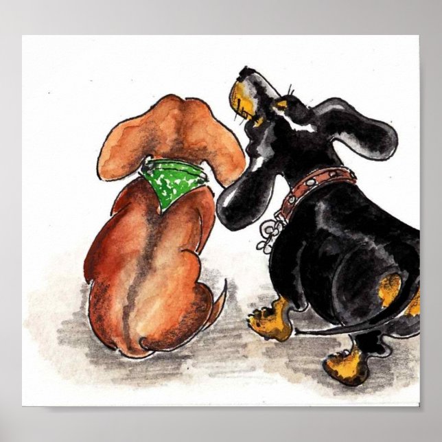 Affiche des dachshunds qui regardent... (Devant)