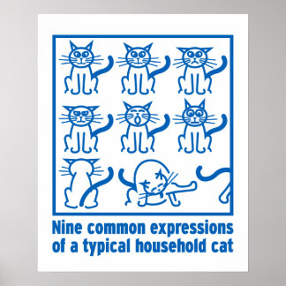Affiche des expressions de chat