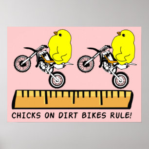Affiche Des filles à moto tout terrain règnent sur l'affic