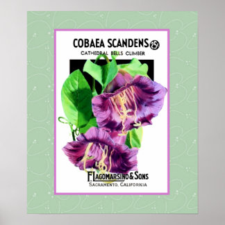 Affiche des fleurs de la cathédrale