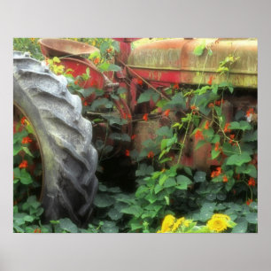 Affiche Des fleurs printanières ornent un vieux tracteur.