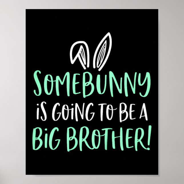 Affiche Des gosses Somebunny Big Brother Pâques Annonce de (Devant)