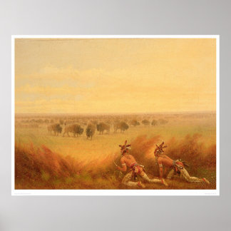 Affiche Des Indiens ramassent sur un troupeau de bisons (1