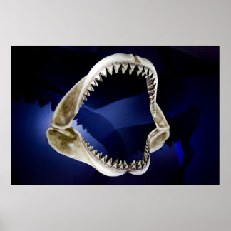 affiche des mâchoires et des dents de requin DE 14