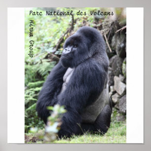Affiche DES national Volcans, groupe de Parc de Hirwa