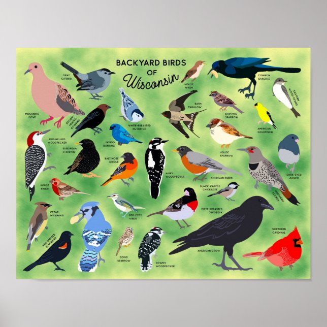 Affiche des oiseaux de jardin du Wisconsin (Devant)