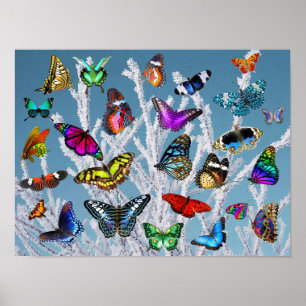 Affiche Des papillons sur les branches. La nature. Le pays