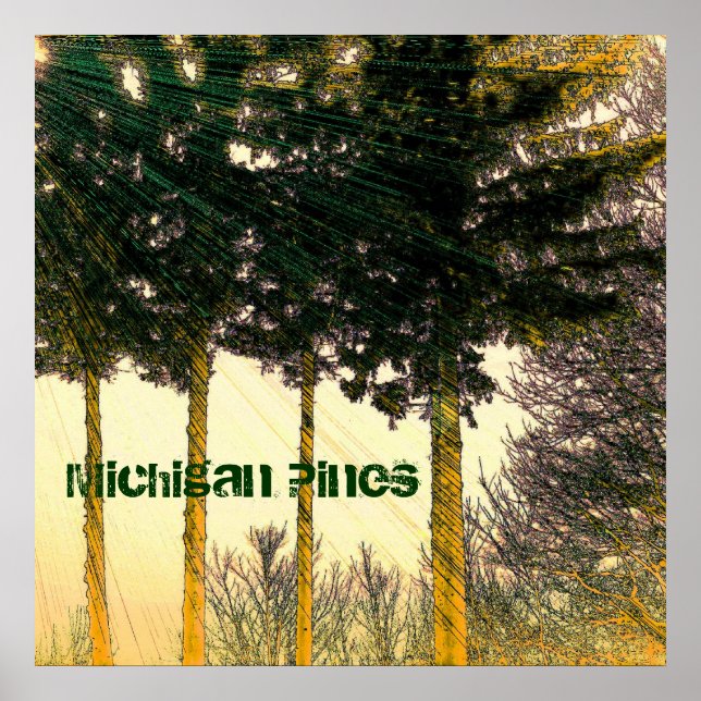 Affiche des pins du Michigan (Devant)