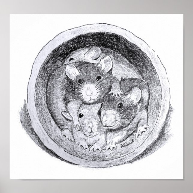 Affiche des rats de tube (Devant)