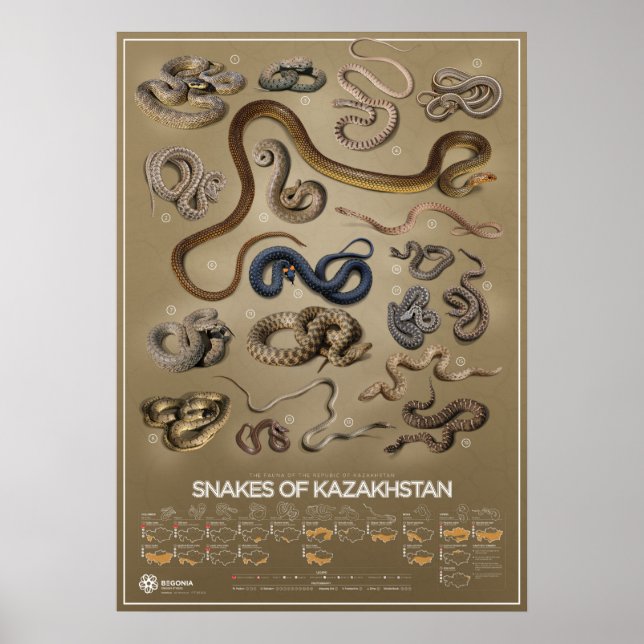 Affiche des serpents du Kazakhstan (Devant)