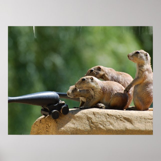Affiche des soldats de chiens des Prairies (Devant)